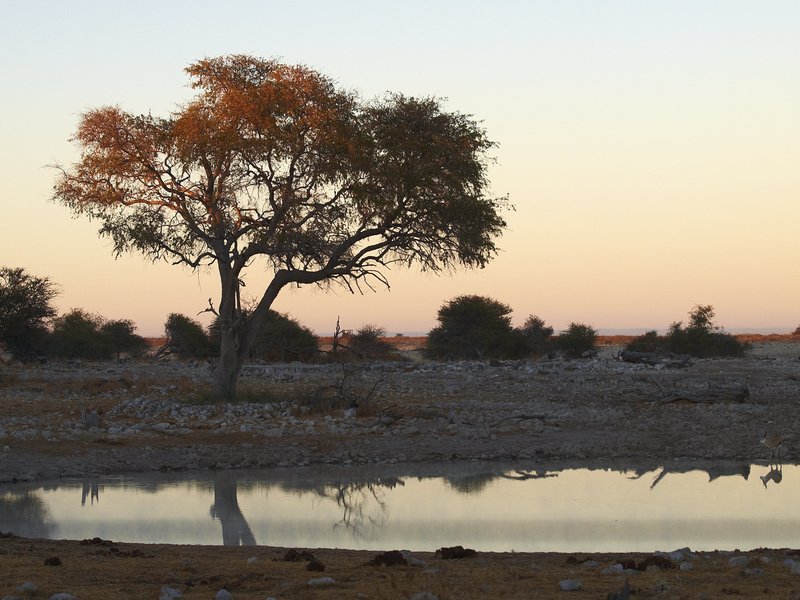 Etosha National Park, Okaukuejo